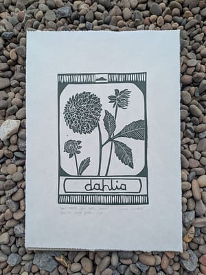Lino print of dahlia seed packet by Julie Gardner