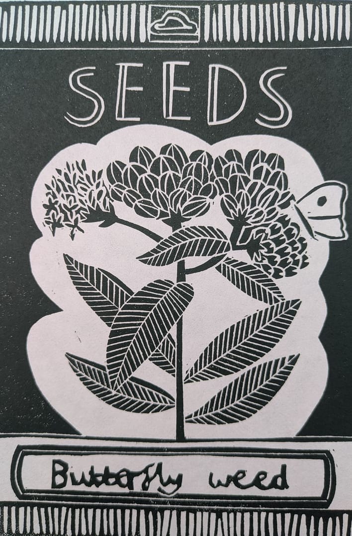 Lino print of butterfly weed seed packet by Julie Gardner