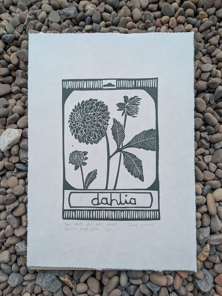 Lino print of dahlia seed packet by Julie Gardner